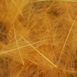 Spirit River UV2 Select CDC