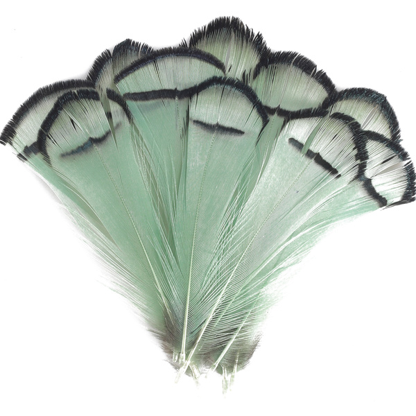 FFGene Lady Amherst Tippets