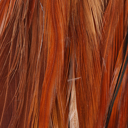 Hareline Woolly Bugger Saddle Hackle 6-7