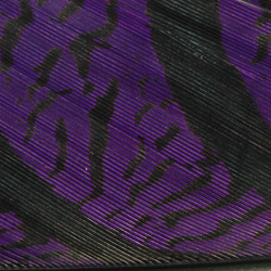 Hareline Lady Amherst Centre Tail