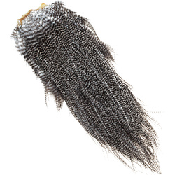 FFGene Howard Hackle Saddles #3