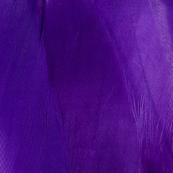 FFGene Goose Shoulders