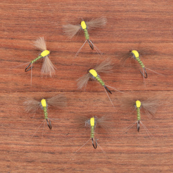 Olive Foam Case Spinner