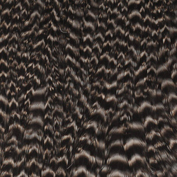 Wapsi Grizzly Hen Neck