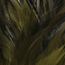 FFGene Strung Saddles Hackle