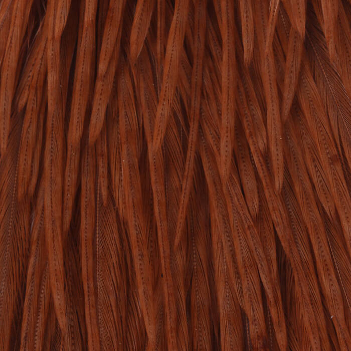 Dyded Ginger
