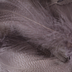 Hareline Mallard Flank