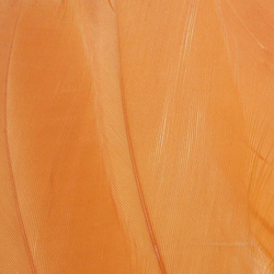 FFGene Goose Shoulders