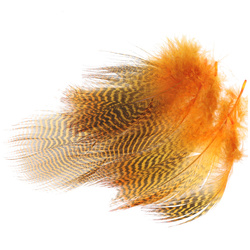Wapsi Хълбочни пера от чирок с напречни ивици