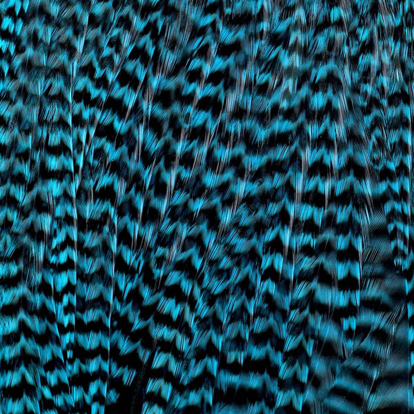 Ewing Grizzly Half Saddles