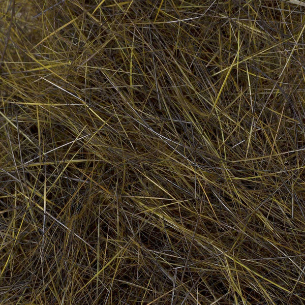 FFGene Nutria Dubbing