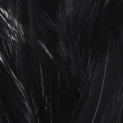 FFGene Strung Saddle Hackle