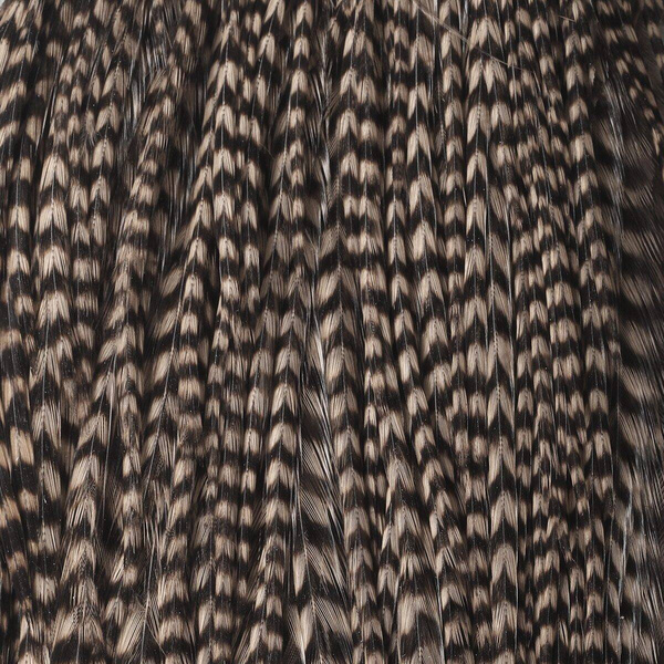 Hareline half nekvel