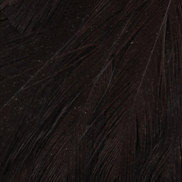 Wapsi Salmon Hen Neck