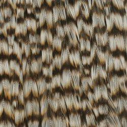 Ewing Sweet Spot Dyed