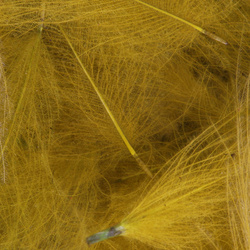 FFGene CDC Color Jambo Pack - 1 gr