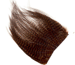 Secțiune mediană vopsită din pielea cu pene de pe gâtul cocoșului Ewing