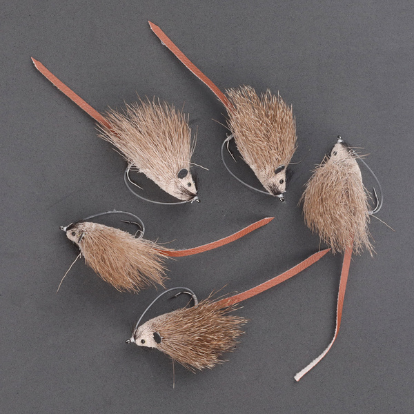 Deer Body Rat