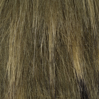 FFGene Raccon Furabou