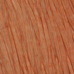 Wapsi Dry Fly Neck Hackle Mini Pack