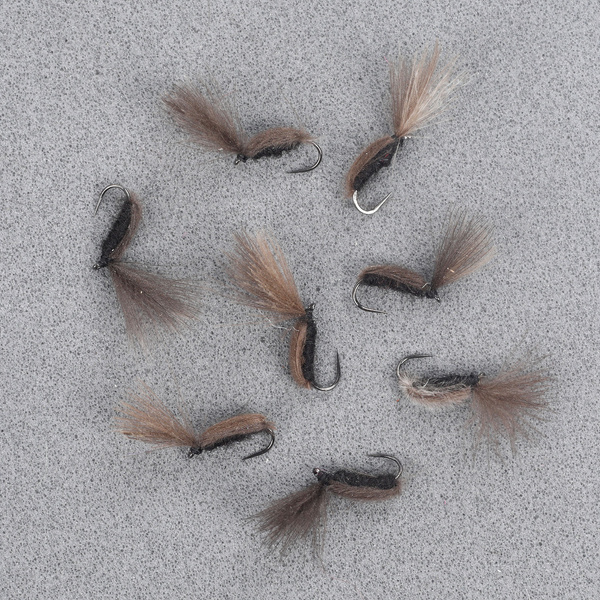 CDC Beetle Black