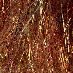 Sybai Magnum Sparkle Dubbing