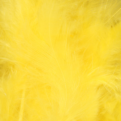 Wapsi White Matuka Soft Hackle