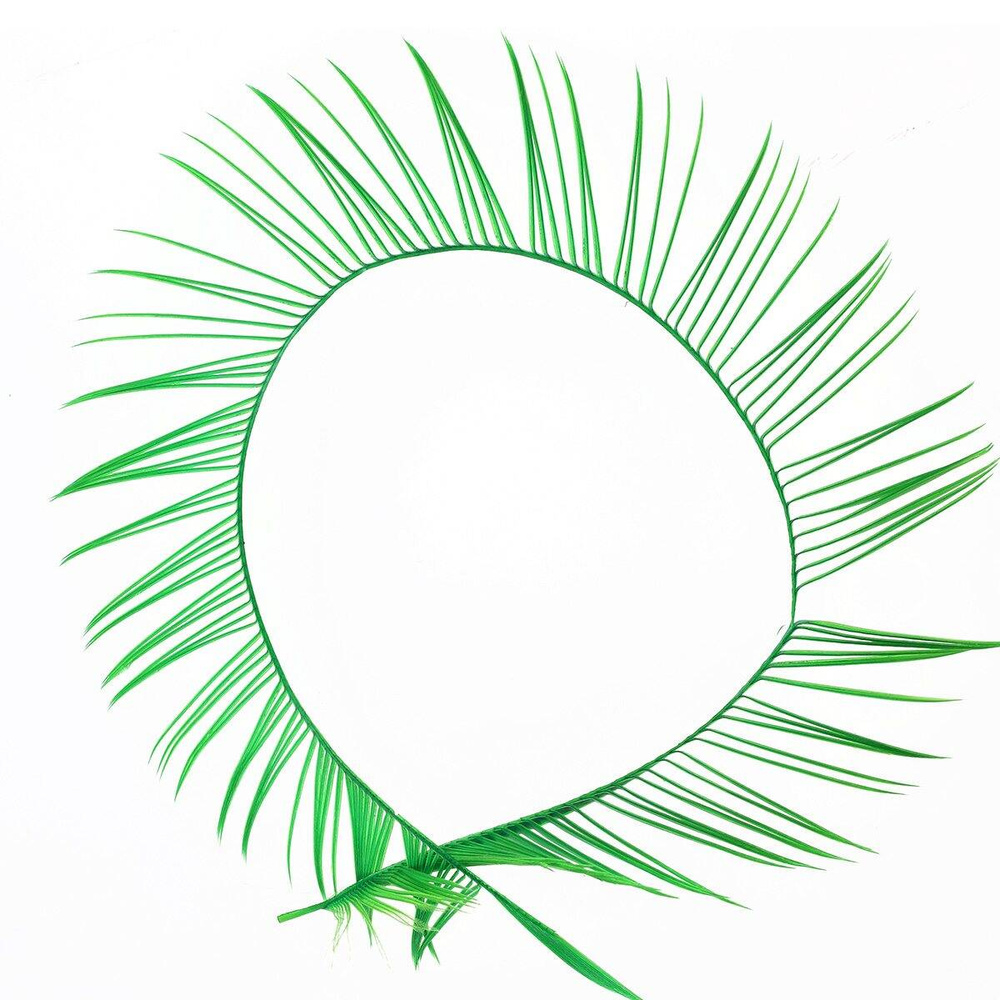 Green Highalnder