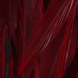 Hareline Woolly Bugger Saddle Hackle 6-7