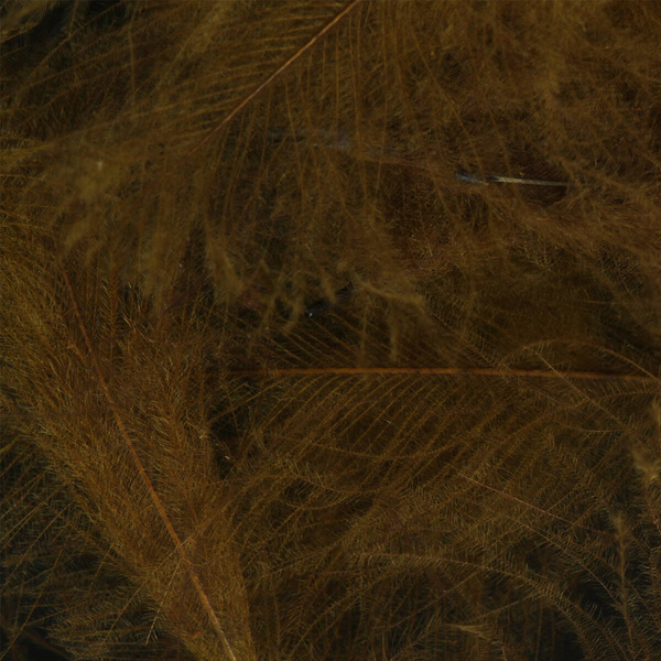 FFGene CDC Color Jambo Pack - 1 gr