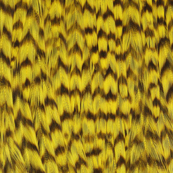 Ewing Grizzly Whole Capes