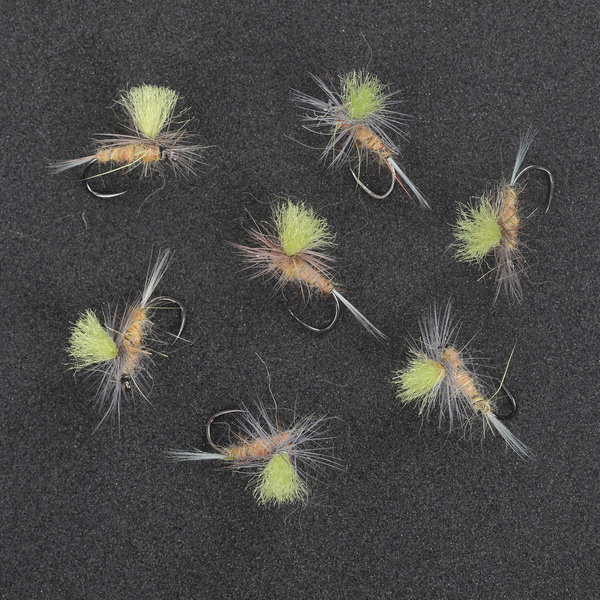 Parachute Poly Wings Tan