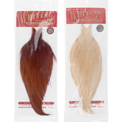 Whiting Bronze级公鸡颈羽皮
