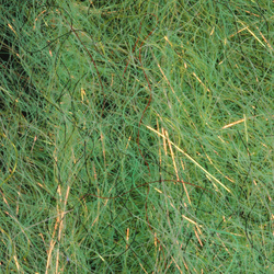 H2O Flash Blend Baitfish Brush 1 inch (flash)