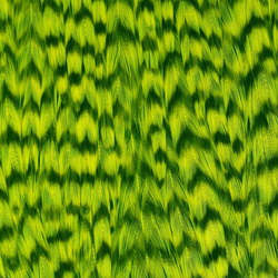 Ewing Grizzly Half Capes