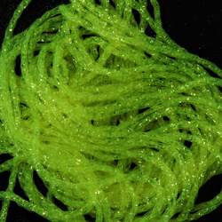 Hareline Midge Ice Braid