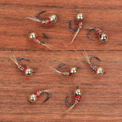 Big T.B. Rainbow Perdigon