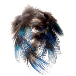 FFGene vratna peresa pava Blue