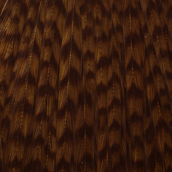 Ewing Top Capes Dyed