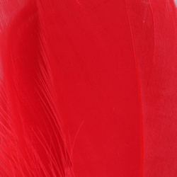 Hareline Select Goose Shoulder