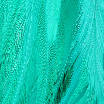 Whitlock.s Turquoise