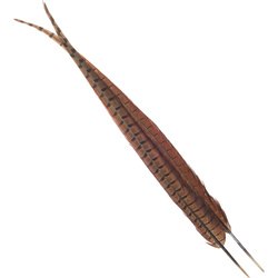 Mittlere Fasanenschwanzfedern FFGene