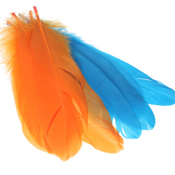 Hareline udvalgte skulderfjer fra gås