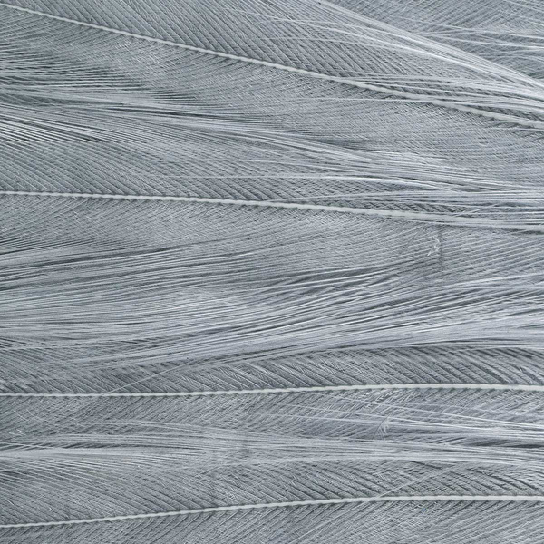 Боядисана средна част от шиен кейп от петел Ewing
