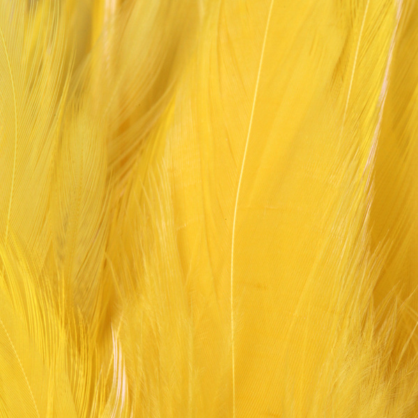 FFGene Strung Saddle Hackle
