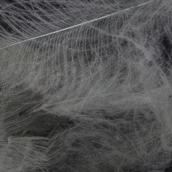 FFGene CDC Color Jambo Pack - 1 gr