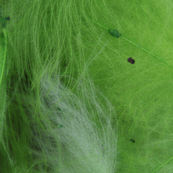 FFGene CDC Color Jambo Pack - 1 gr