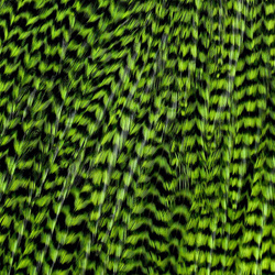 Ewing Grizzly Whole Saddles