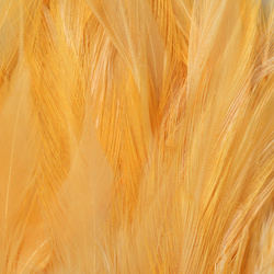 FFGene Strung Saddles Hackle