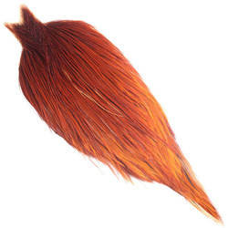 Whiting Hebert Bronze级公鸡颈羽皮